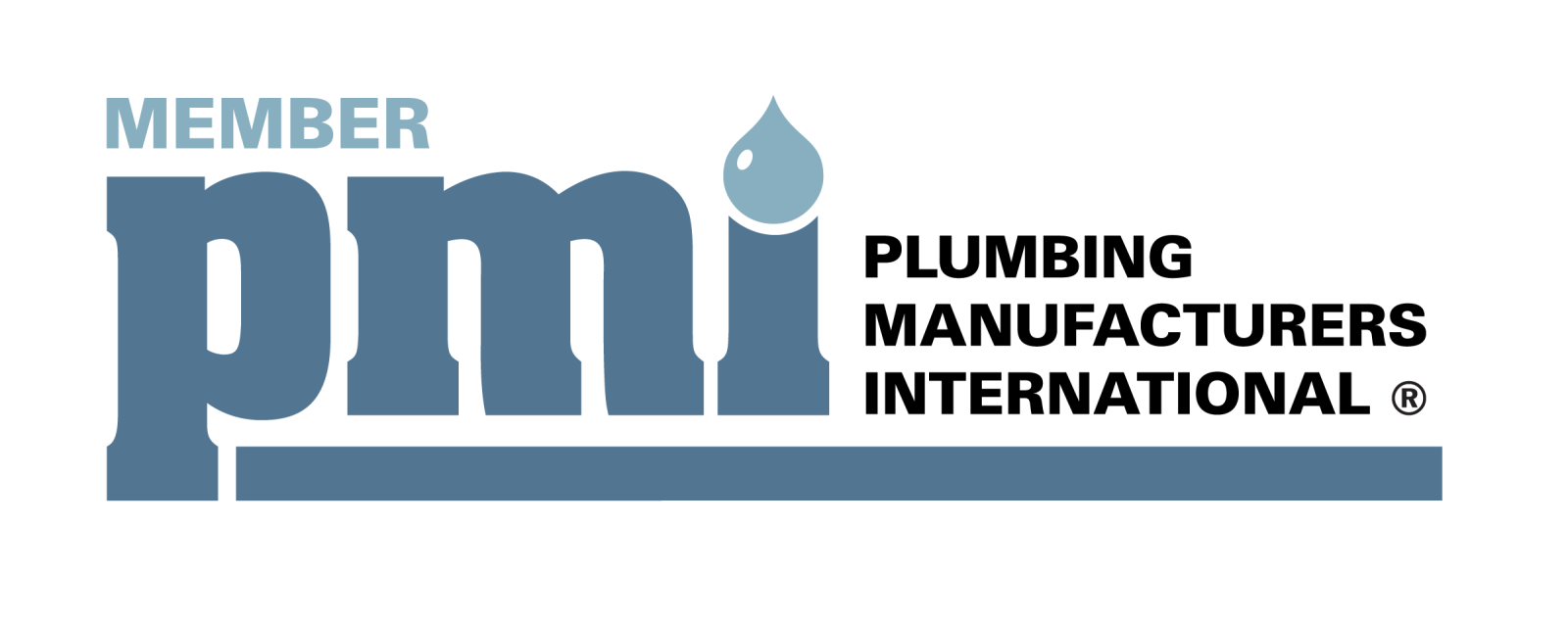 PMI Member logo